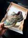 Кросівки Жіночі ASICS Gel - Kahana 8 Combined 21626 фото 2